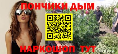 прущие грибы Апрелевка