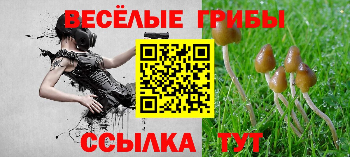 Апшеронск  наркотики  Галлюциногенные грибы Magic Shrooms  Вход с VPN  Псилоцибиновые грибы GOLDEN TEACHER 