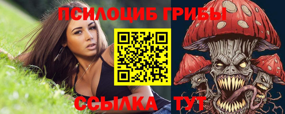 Галлюциногенные грибы Magic Shrooms Апшеронск